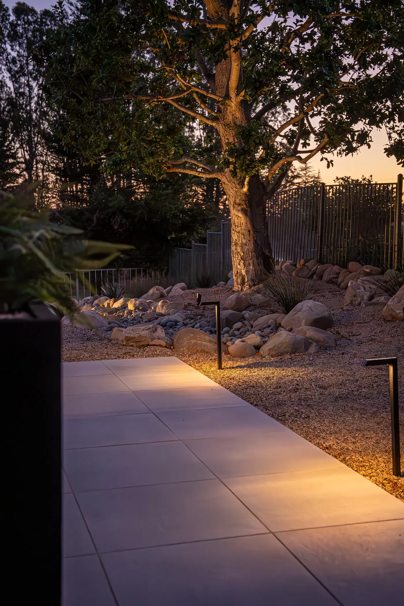 Shaded backyard foliage, shrubs, ground cover, fence line, and patio edges